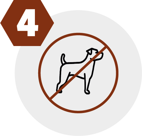 icon-05